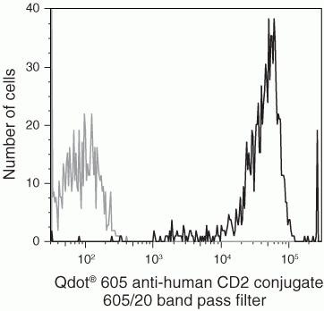 CD2 Antibody in Flow Cytometry (Flow)