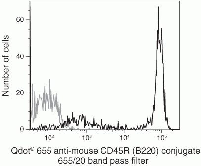 CD45R Antibody in Flow Cytometry (Flow)