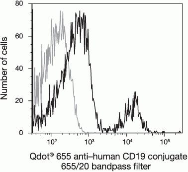 CD19 Antibody in Flow Cytometry (Flow)