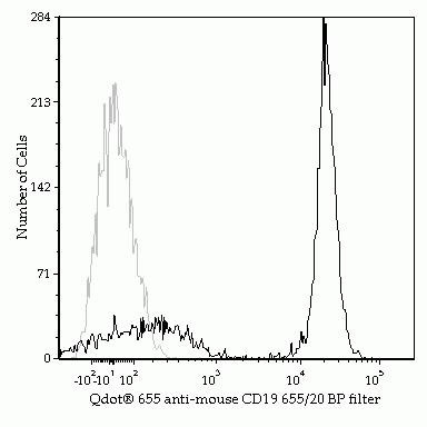 CD19 Antibody in Flow Cytometry (Flow)