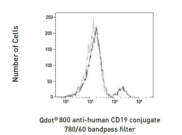 CD19 Antibody in Flow Cytometry (Flow)