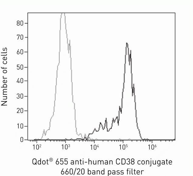 CD38 Antibody in Flow Cytometry (Flow)