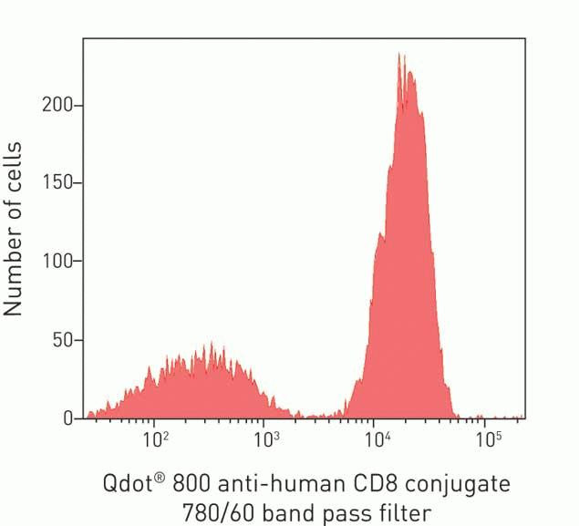 CD8 Antibody in Flow Cytometry (Flow)