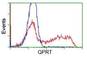 QPRT Antibody in Flow Cytometry (Flow)