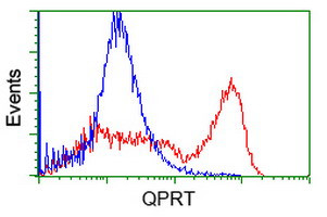 QPRT Antibody in Flow Cytometry (Flow)