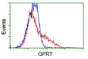 QPRT Antibody in Flow Cytometry (Flow)