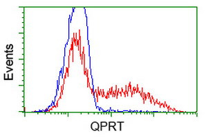 QPRT Antibody in Flow Cytometry (Flow)