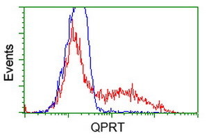 QPRT Antibody in Flow Cytometry (Flow)