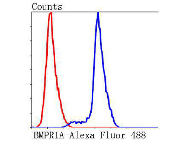 BMPR1A Antibody in Flow Cytometry (Flow)