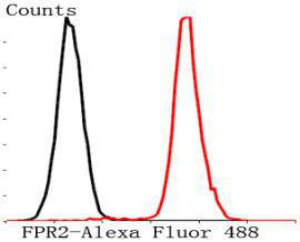 FPR2 Antibody in Flow Cytometry (Flow)