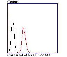 Caspase-1 Antibody in Flow Cytometry (Flow)