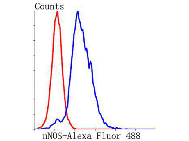 nNOS Antibody in Flow Cytometry (Flow)