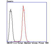 GM130 (cis-Golgi Marker) Antibody in Flow Cytometry (Flow)