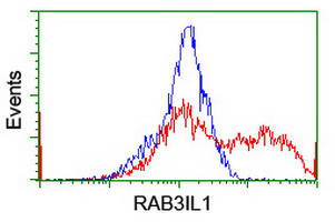 RAB3IL1 Antibody in Flow Cytometry (Flow)