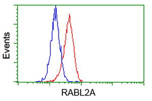 RABL2A Antibody in Flow Cytometry (Flow)