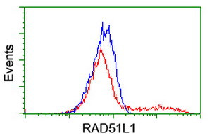 RAD51L1 Antibody in Flow Cytometry (Flow)