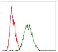 c-Raf Antibody in Flow Cytometry (Flow)