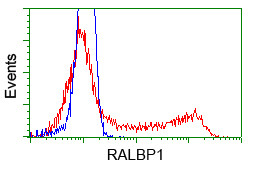 RALBP1 Antibody in Flow Cytometry (Flow)