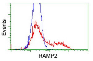 RAMP2 Antibody in Flow Cytometry (Flow)