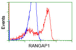 RANGAP1 Antibody in Flow Cytometry (Flow)