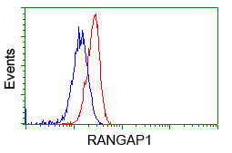 RANGAP1 Antibody in Flow Cytometry (Flow)