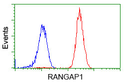 RANGAP1 Antibody in Flow Cytometry (Flow)