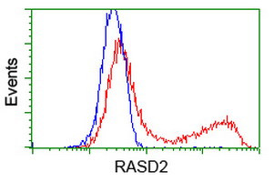 RASD2 Antibody in Flow Cytometry (Flow)