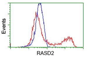 RASD2 Antibody in Flow Cytometry (Flow)