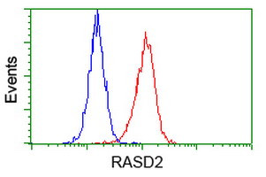 RASD2 Antibody in Flow Cytometry (Flow)