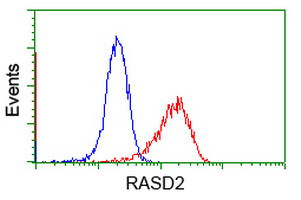 RASD2 Antibody in Flow Cytometry (Flow)