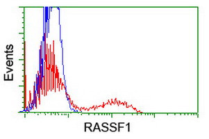 RASSF1 Antibody in Flow Cytometry (Flow)