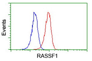 RASSF1 Antibody in Flow Cytometry (Flow)