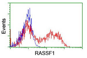 RASSF1 Antibody in Flow Cytometry (Flow)