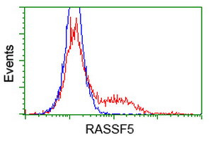 RASSF5 Antibody in Flow Cytometry (Flow)