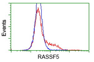 RASSF5 Antibody in Flow Cytometry (Flow)