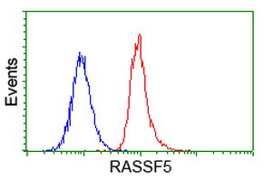 RASSF5 Antibody in Flow Cytometry (Flow)