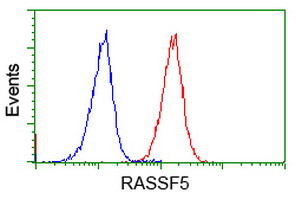 RASSF5 Antibody in Flow Cytometry (Flow)