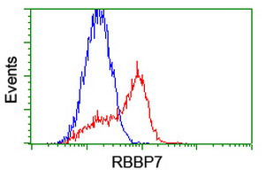 RBBP7 Antibody in Flow Cytometry (Flow)