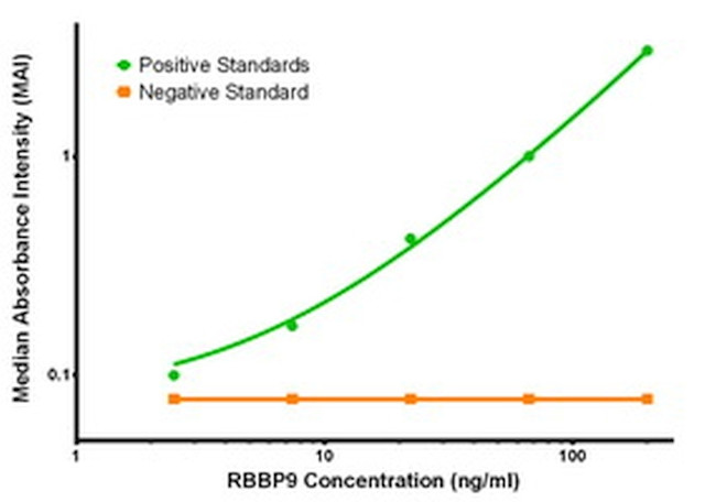 RBBP9 Antibody in ELISA (ELISA)