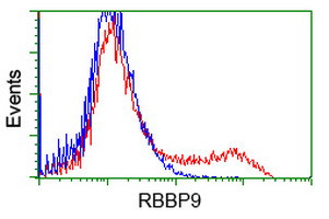 RBBP9 Antibody in Flow Cytometry (Flow)