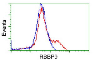 RBBP9 Antibody in Flow Cytometry (Flow)