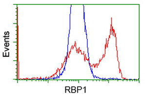 RBP1 Antibody in Flow Cytometry (Flow)