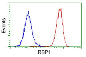 RBP1 Antibody in Flow Cytometry (Flow)