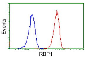 RBP1 Antibody in Flow Cytometry (Flow)