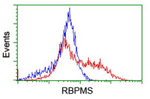 RBPMS Antibody in Flow Cytometry (Flow)