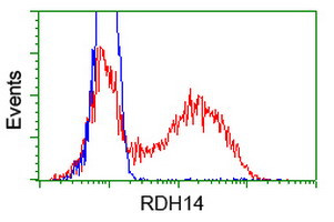 RDH14 Antibody in Flow Cytometry (Flow)