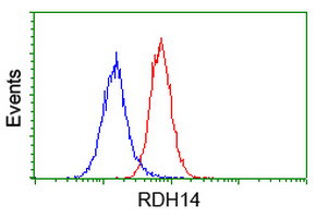 RDH14 Antibody in Flow Cytometry (Flow)