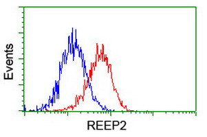 REEP2 Antibody in Flow Cytometry (Flow)