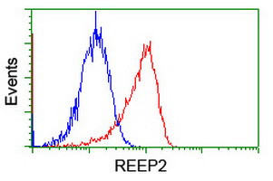 REEP2 Antibody in Flow Cytometry (Flow)