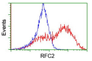 RFC2 Antibody in Flow Cytometry (Flow)